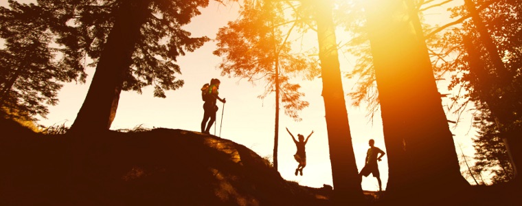 people exploring woods