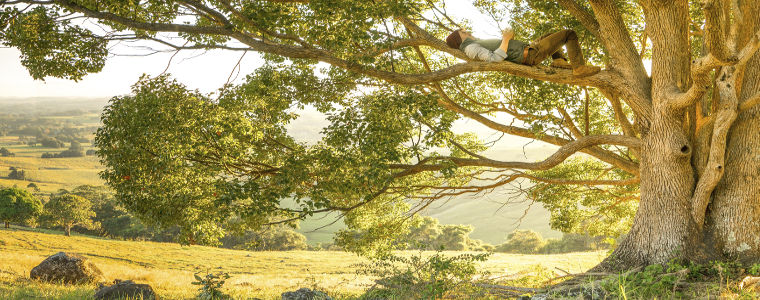 Praying lying on a branch